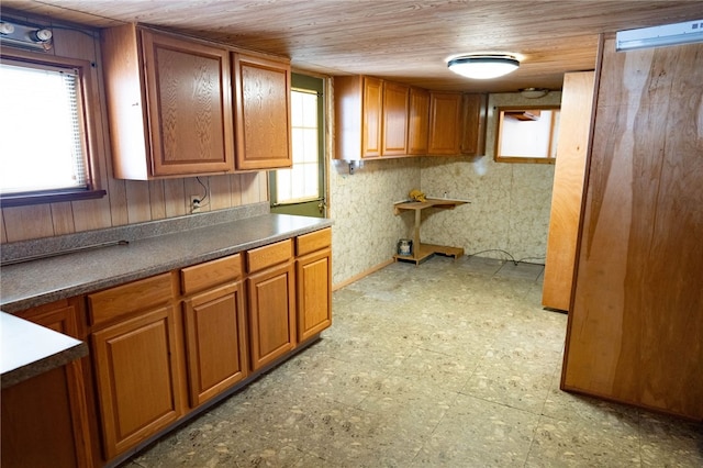 kitchen with wood walls and wood ceiling