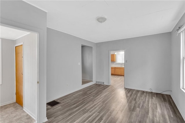 empty room with light hardwood / wood-style floors, a wealth of natural light, and sink