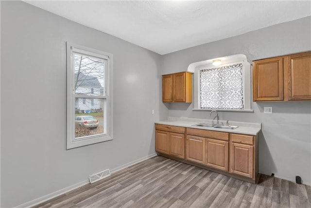 kitchen with sink and light wood-type flooring