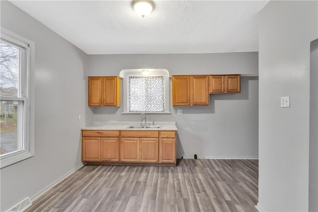 kitchen with light wood-type flooring and sink