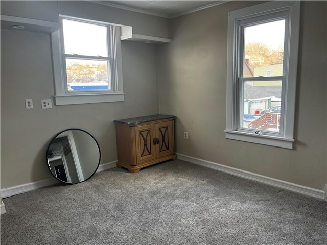 spare room with carpet, crown molding, and a wealth of natural light