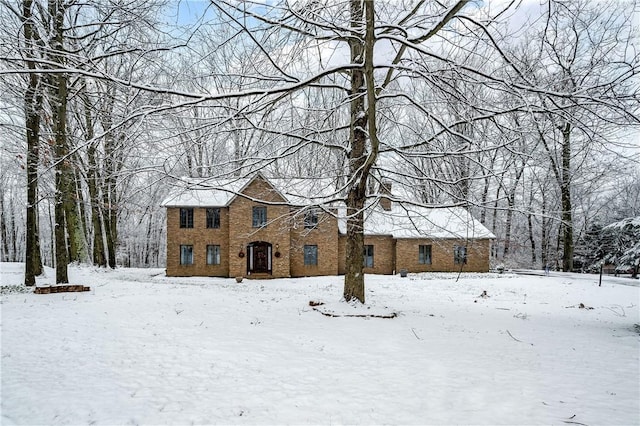 view of front of house with brick siding