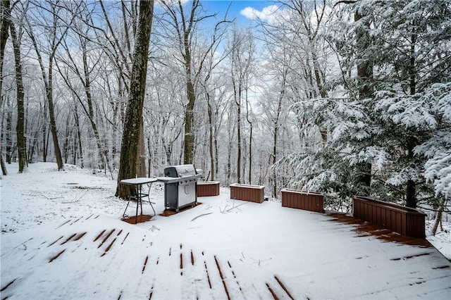 view of yard covered in snow