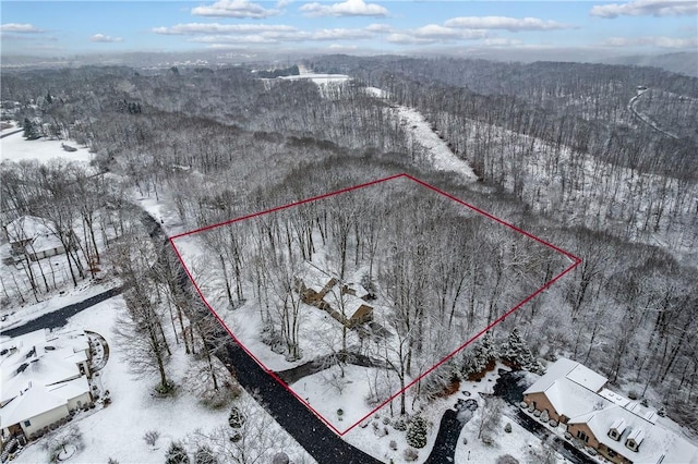 snowy aerial view with a forest view