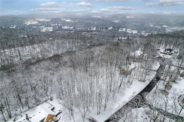 snowy aerial view featuring a mountain view