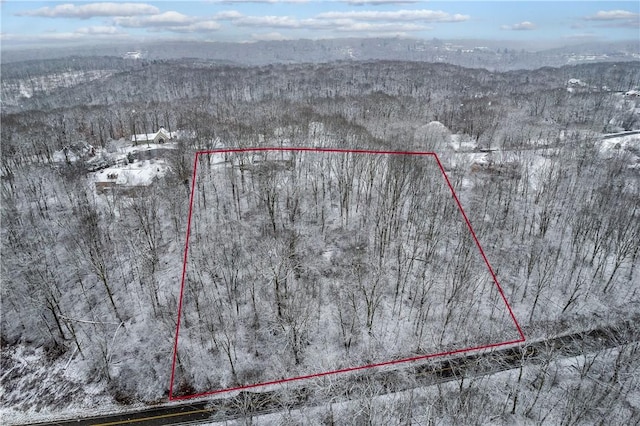 aerial view with a wooded view