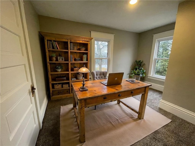 carpeted office featuring a wealth of natural light