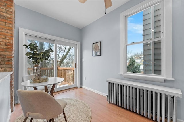 sitting room with ceiling fan, light wood-type flooring, and radiator