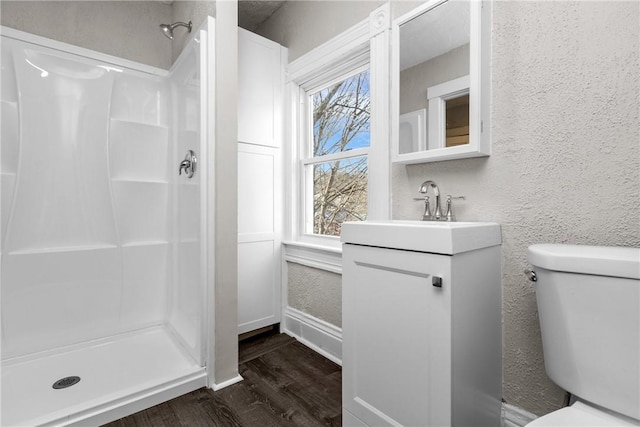 bathroom featuring a shower, vanity, and a wealth of natural light