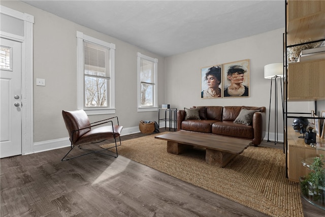 living room featuring dark wood-type flooring