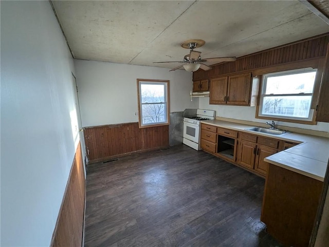 kitchen featuring ceiling fan, sink, dark hardwood / wood-style floors, wooden walls, and white gas range oven