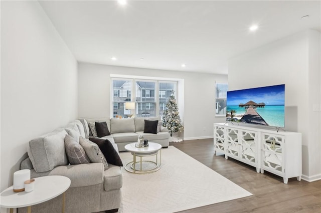 living room featuring hardwood / wood-style flooring