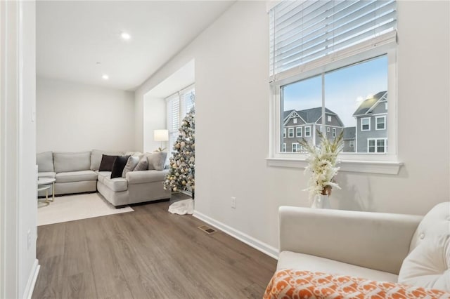 living room with hardwood / wood-style floors