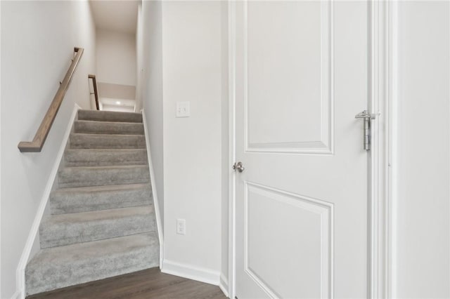 staircase with hardwood / wood-style flooring