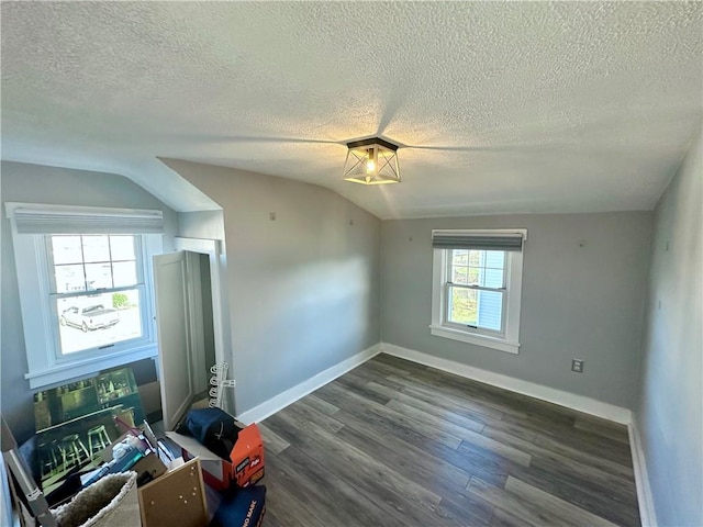 additional living space with plenty of natural light, a textured ceiling, and vaulted ceiling