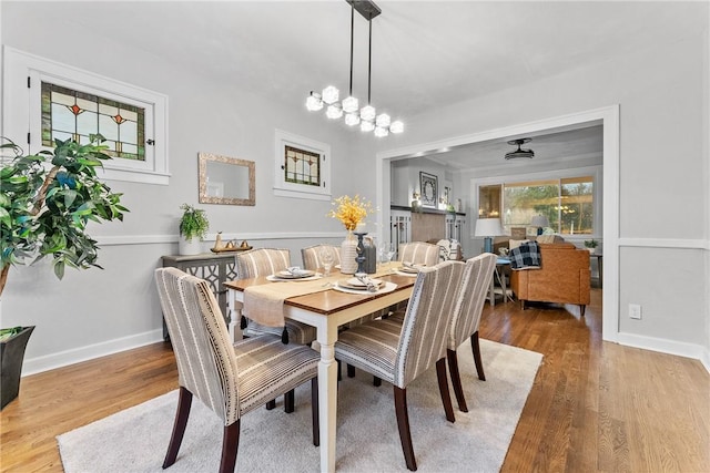 dining room featuring wood-type flooring and ceiling fan with notable chandelier