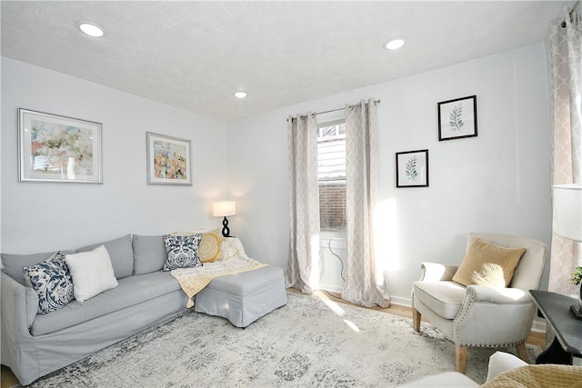 living room featuring hardwood / wood-style flooring