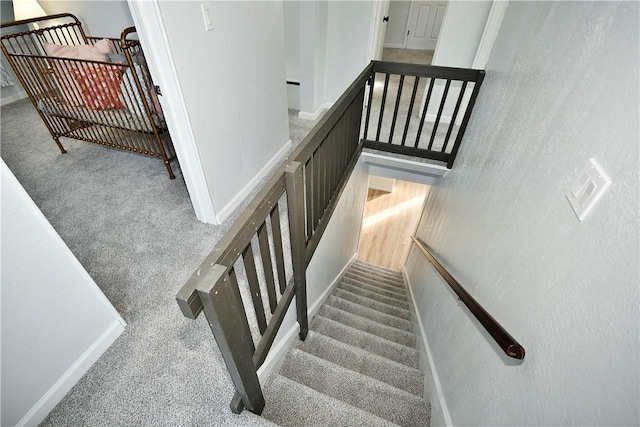 staircase featuring carpet floors