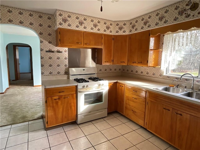 kitchen with light carpet, gas range gas stove, and sink