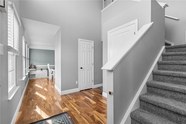 staircase with hardwood / wood-style flooring