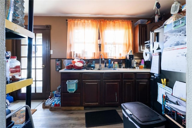 kitchen with dark brown cabinetry, a wealth of natural light, and sink