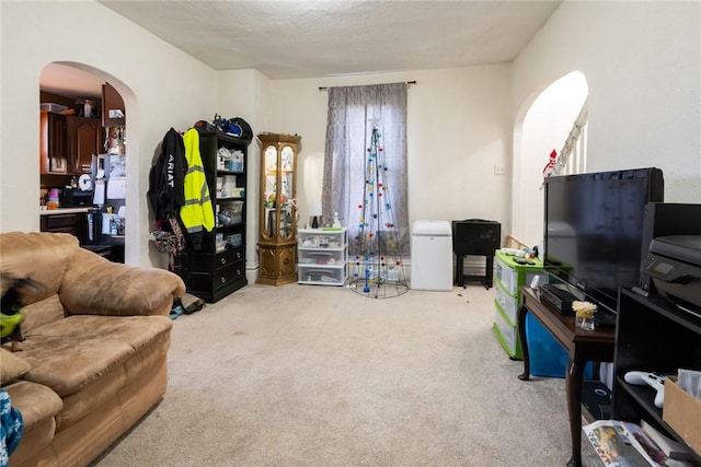 living room with a textured ceiling and light carpet