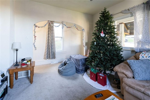 living area with carpet floors