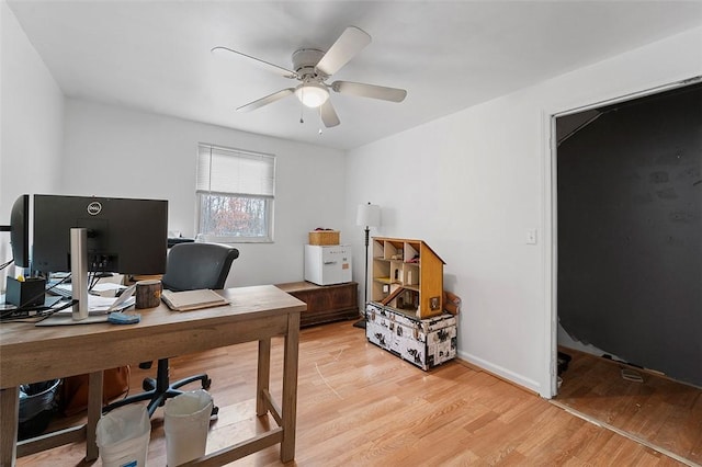 office space featuring ceiling fan and light hardwood / wood-style flooring