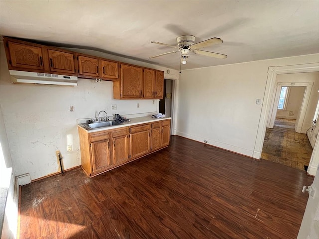 kitchen featuring ceiling fan, dark hardwood / wood-style flooring, and sink