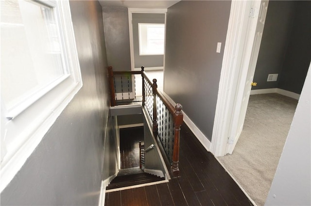 stairway featuring hardwood / wood-style flooring