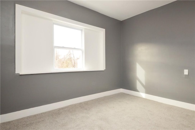 unfurnished room featuring carpet floors