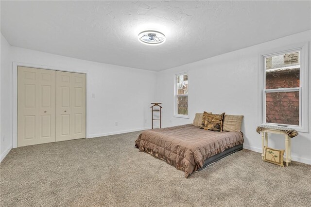 bedroom featuring carpet and a closet