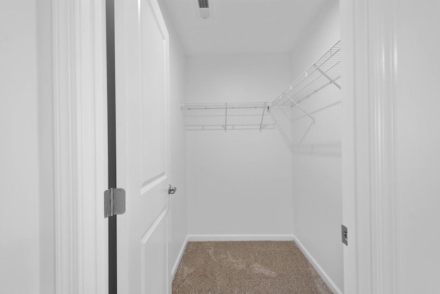 walk in closet featuring carpet floors