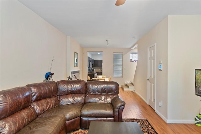 living room featuring light hardwood / wood-style floors