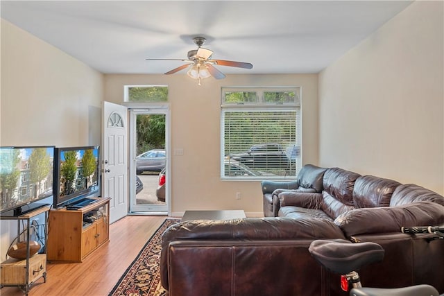 living room with ceiling fan and light wood-type flooring