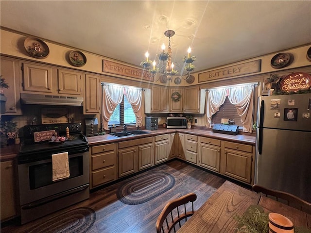 kitchen with appliances with stainless steel finishes, dark hardwood / wood-style flooring, a notable chandelier, and sink