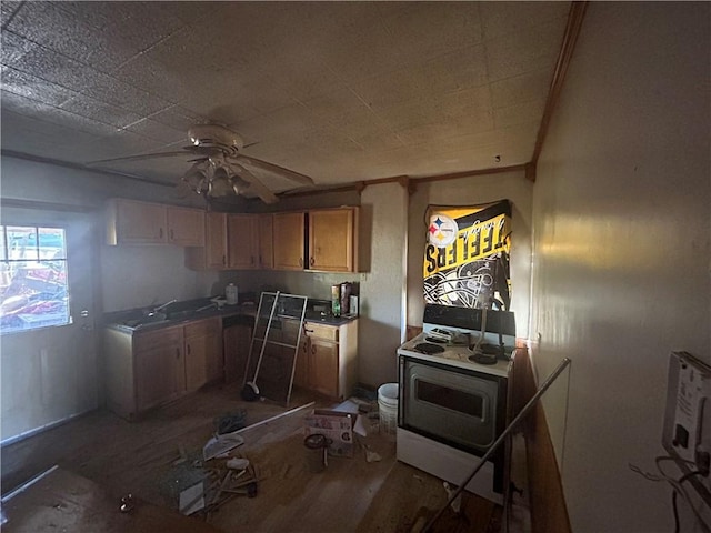 kitchen with ceiling fan and dark wood-type flooring