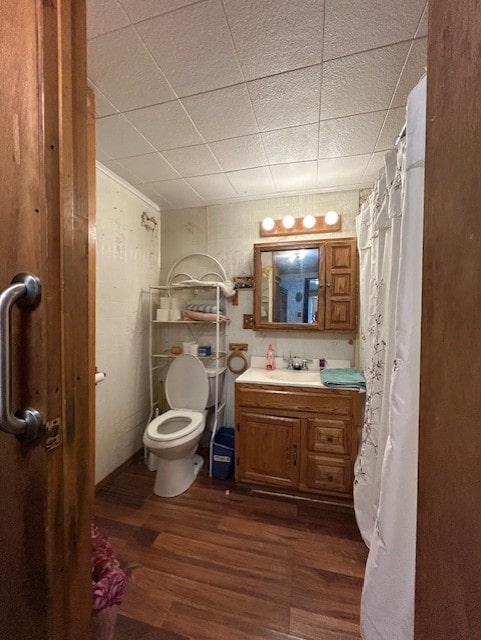 bathroom with toilet, wood-type flooring, and vanity