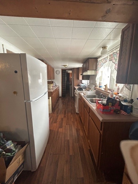 kitchen with dark hardwood / wood-style floors, sink, and white appliances