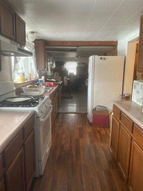 kitchen featuring a wealth of natural light, dark hardwood / wood-style flooring, and white appliances