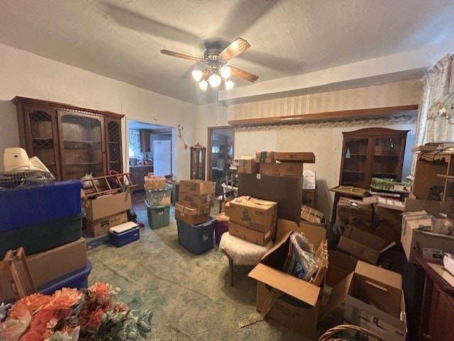 storage room with ceiling fan