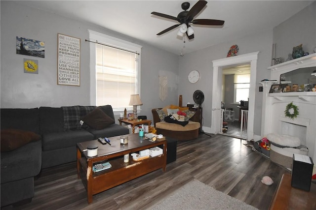 living room with ceiling fan and dark wood-type flooring