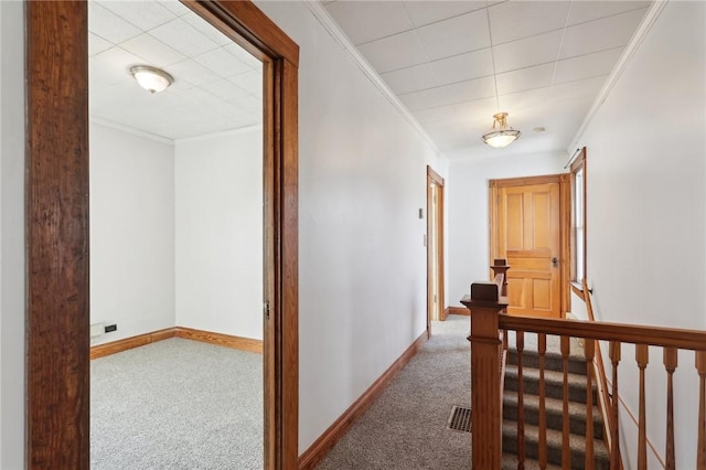 hall with carpet and ornamental molding