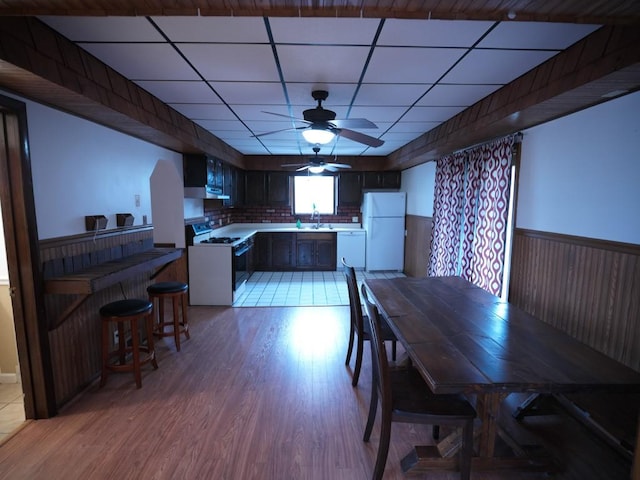 dining space with a paneled ceiling, ceiling fan, sink, and light hardwood / wood-style flooring