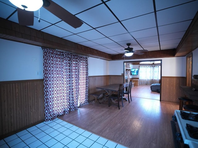 dining room featuring ceiling fan, a drop ceiling, and light hardwood / wood-style floors