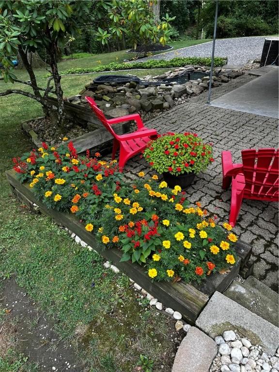 view of yard with a patio area