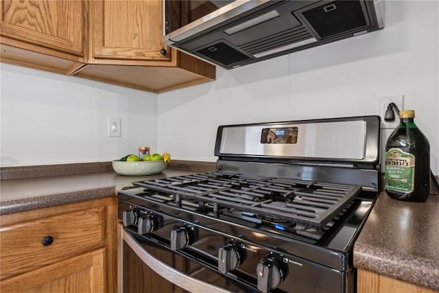 kitchen with ventilation hood and stainless steel range with gas cooktop