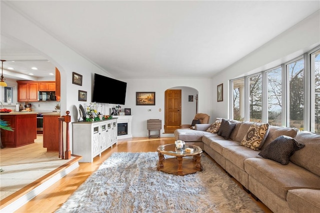 living room featuring light wood-type flooring