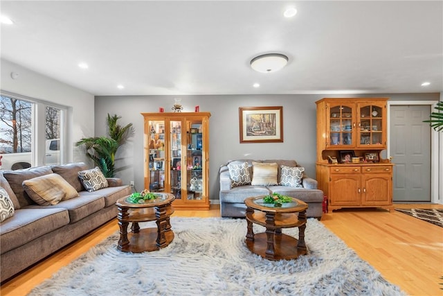 living room with light hardwood / wood-style floors