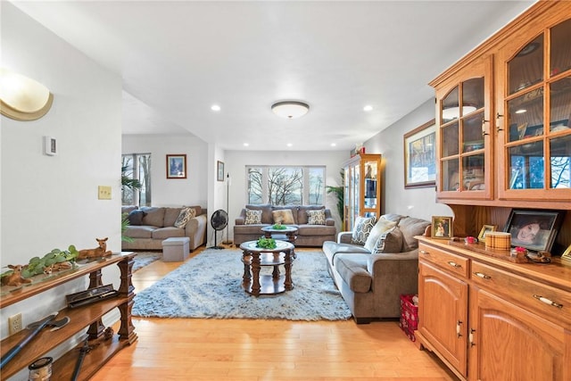 living room featuring light wood-type flooring and plenty of natural light